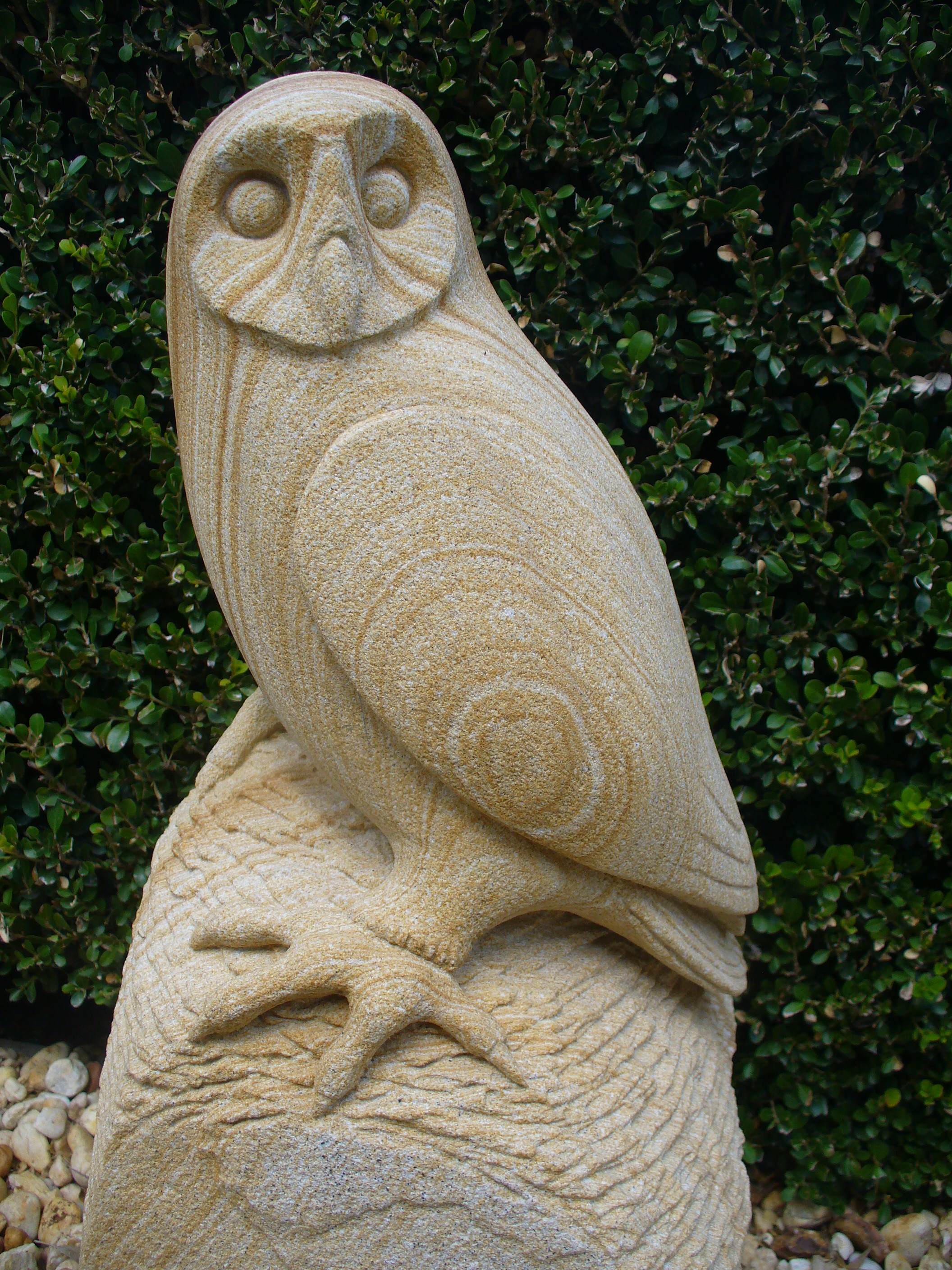 Owl 7